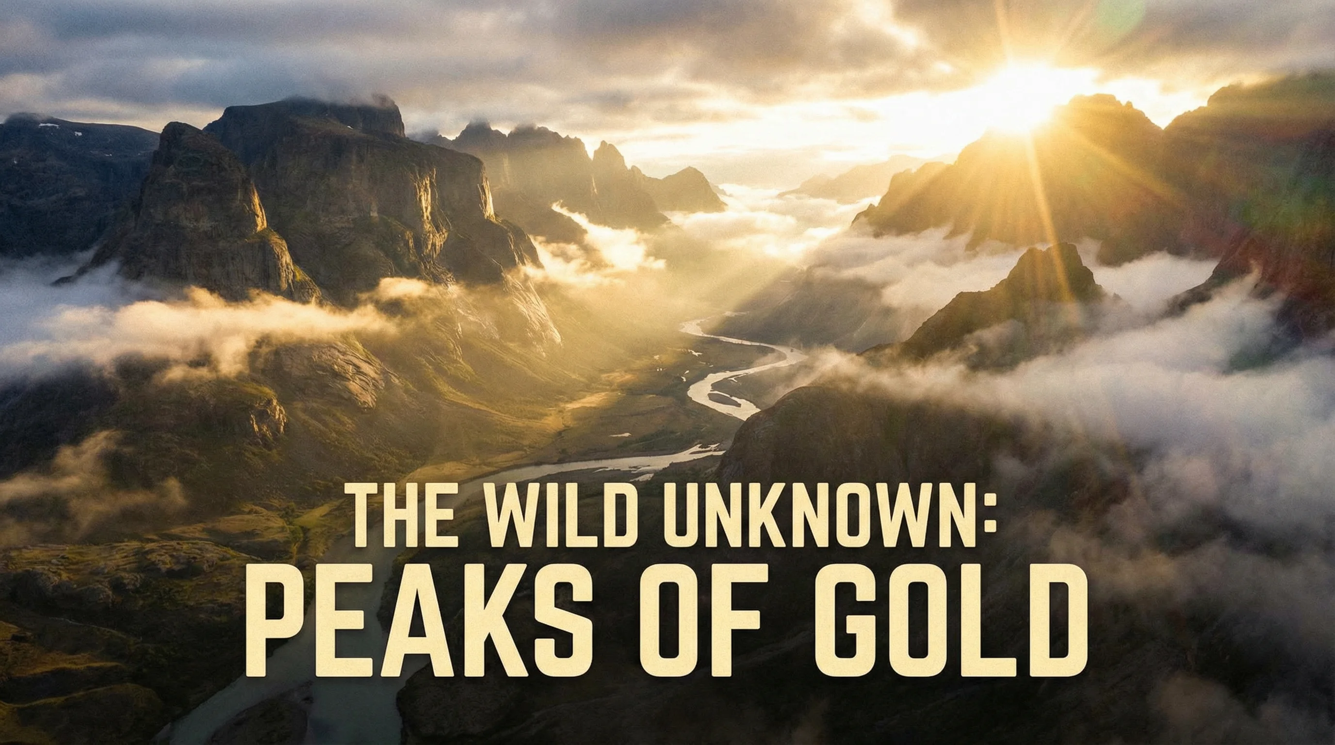 草莓视频四虎影院特色内容